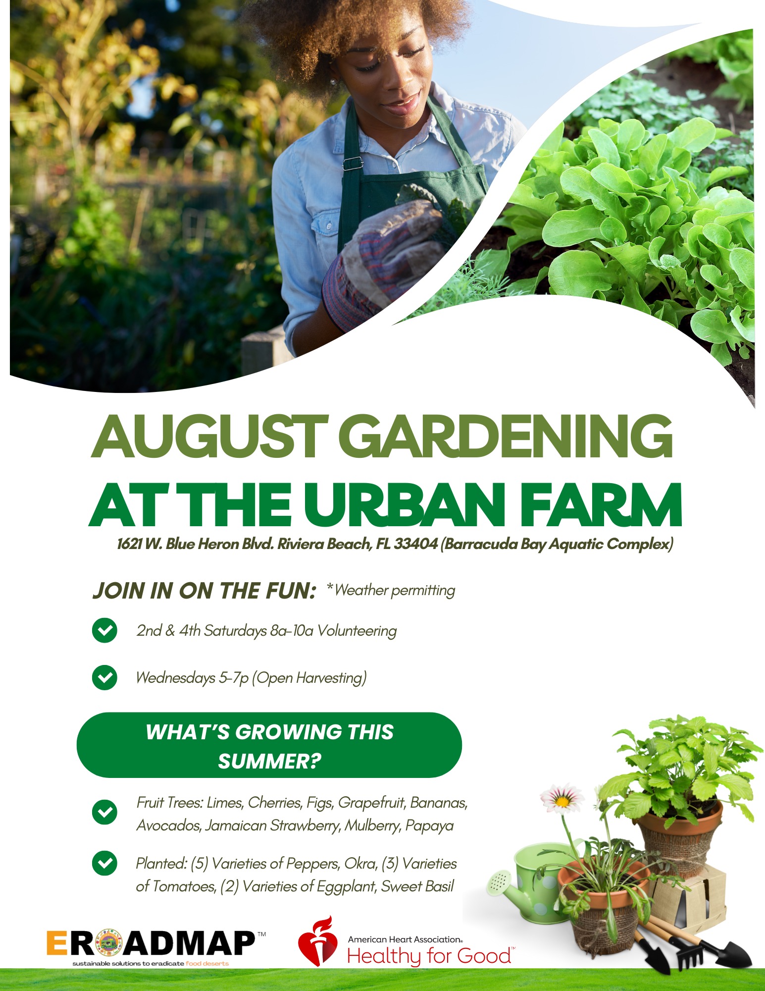 AUGUST GARDENING AT THE URBAN FARM 1621 W. Blue Heron Bivd. Riviera Beach, FL 33404 (Barracuda Bay Aquatic Complex) JOIN IN ON THE FUN: *Weather permitting © 2nd & 4th Saturdays Sa-10a Volunteering (V) Wednesdays 5-7p (Open Harvesting) WHAT'S GROWING THIS SUMMER? Fruit Trees: Limes, Cherries, Figs, Grapefruit, Bananas, Avocados, Jamaican Strawberry, Mulberry, Papaya 1 Planted: (5) Varieties of Peppers, Okra, (3) Varieties of Tomatoes, (2) Varieties of Eggplant, Sweet Basil EROADMAP" sustainable solutions to eradicate re American Heart Association. Healthy for Good